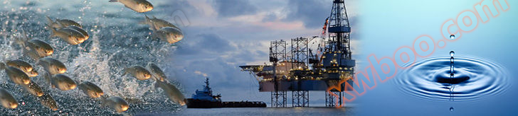 德国METS Classic 水下甲烷仪(图1)