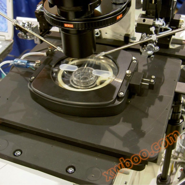 Stage Top Incubator for microscope live cell culture system