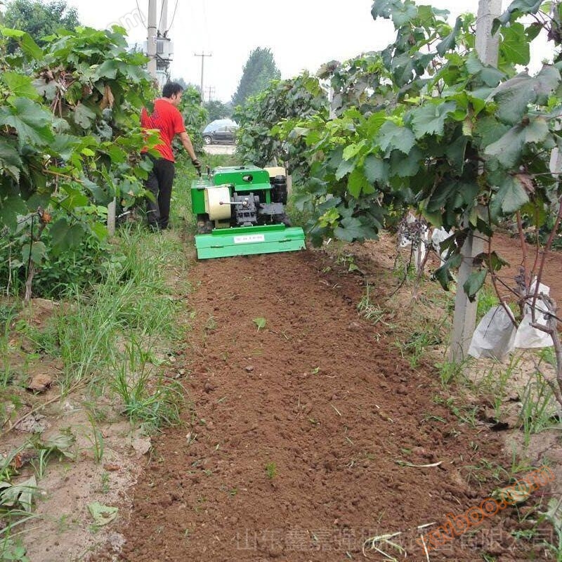 Remote control self-propelled field management machine Xinjiaqiang specializes in producing vegetable greenhouse trenching, fertilization, rotary tillage, weeding machine