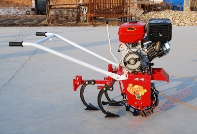 Hoeing and cultivating the land in a strong state