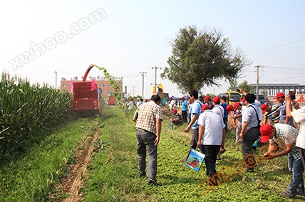 4QZ-2600 Green Feed Harvester