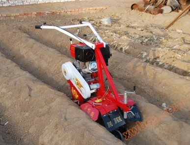 Cultivate soil and strengthen the state