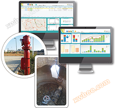 Sisteme de detectare și monitorizare a rețelei de apă bazate pe IoT