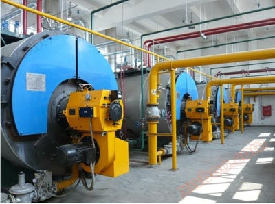 Low nitrogen gas boiler