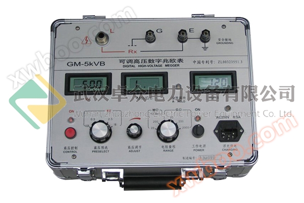GM Adjustable High Voltage Digital Megohmmeter
